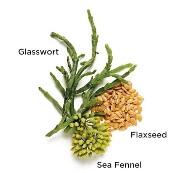 Elizabeth Arden SUPERSTART Skin Renewal Booster SEALED 🆕⌚📦🏃💨🚚 - Picture 6 of 16